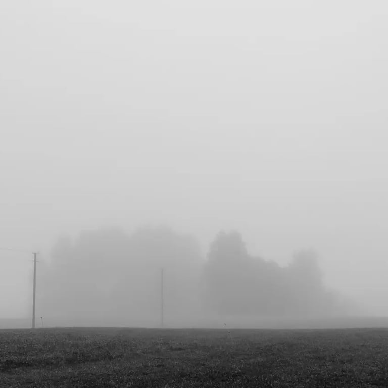 A misty field captured in a black and white photograph