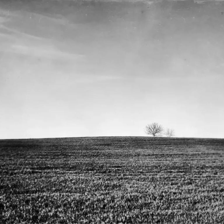 A black and white image of a solitary tree in a vast, open field