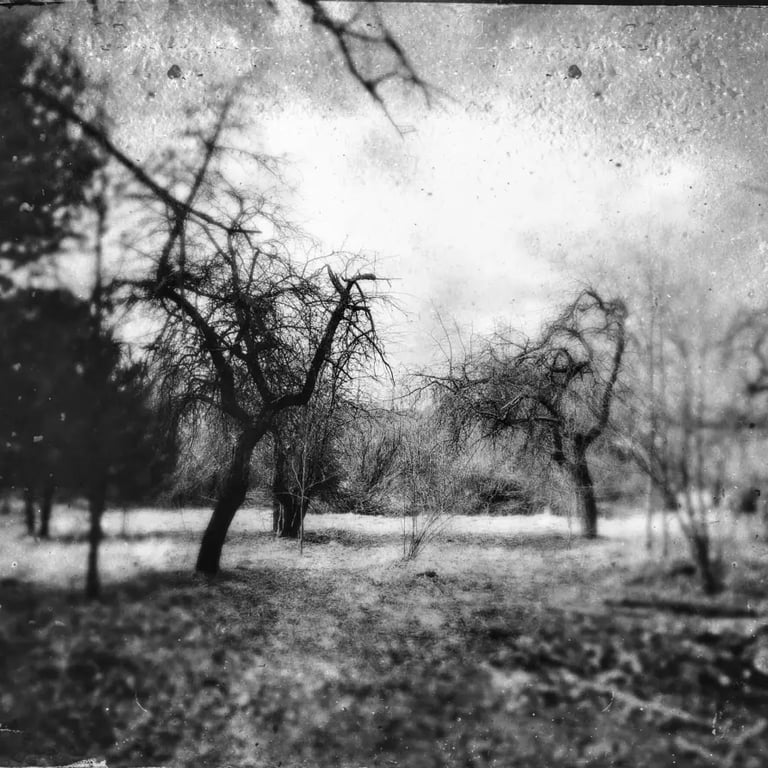 A tintype filter adds a vintage touch to this garden