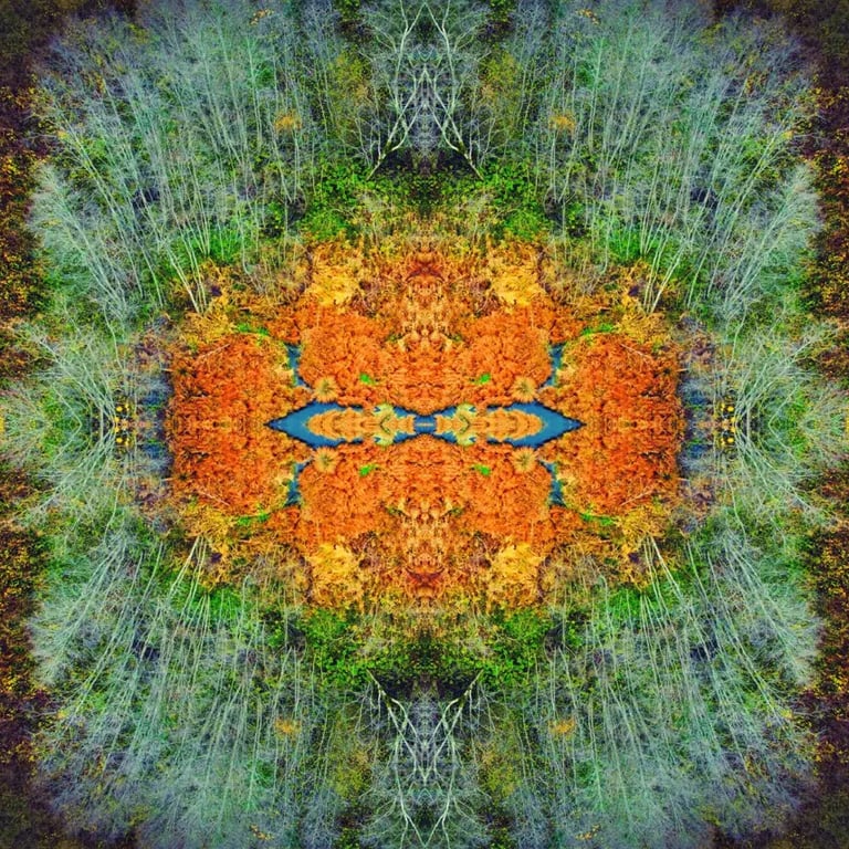 Tree with abstract foliage design