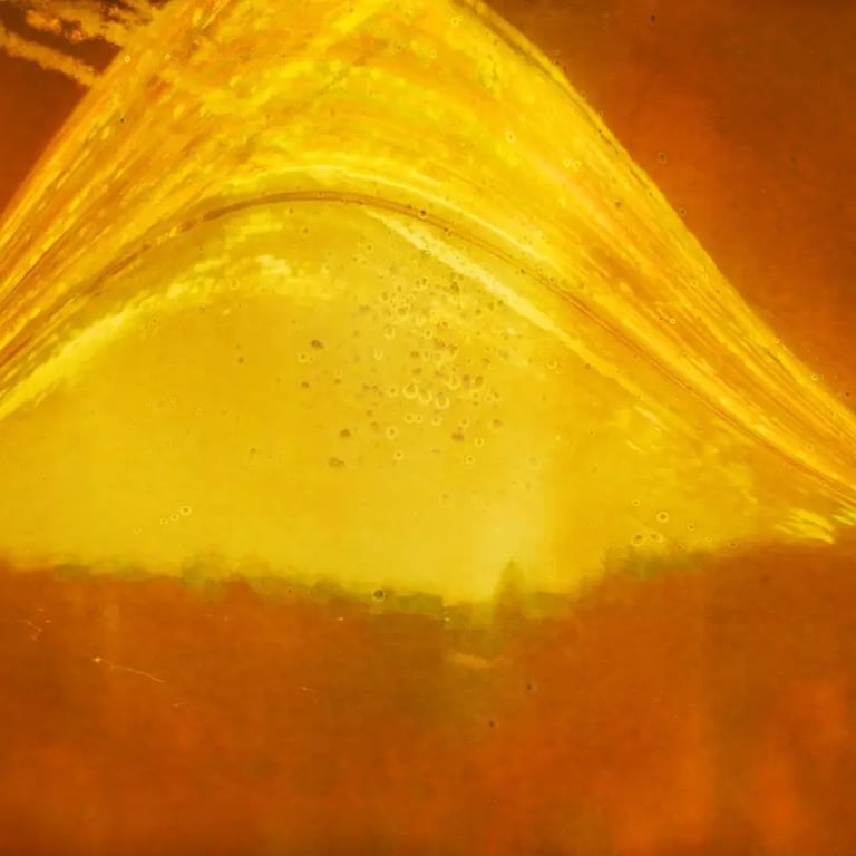 Sun's journey over half a year.