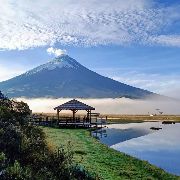 Cotopaxi from Limpiopungo