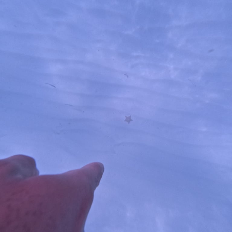 a person holding a kite in the sky catalina island punta cana