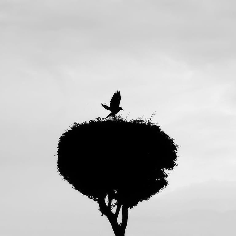 Benoît Daniel-Pham, documentary, street photography, Leica