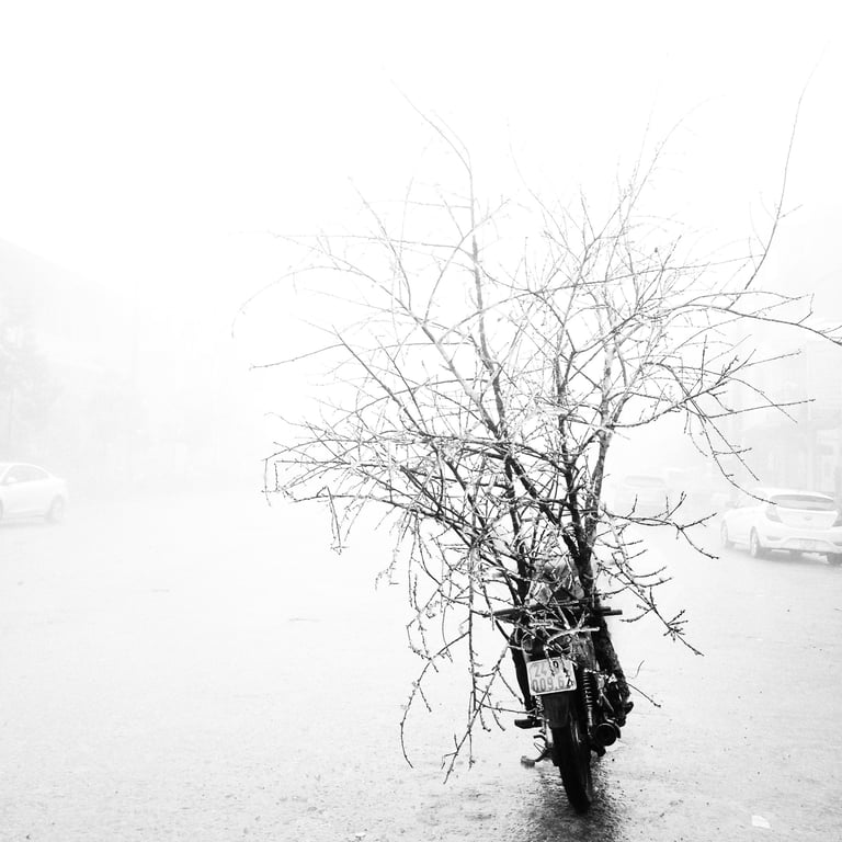 Benoît Daniel-Pham, documentary, street photography, Leica
