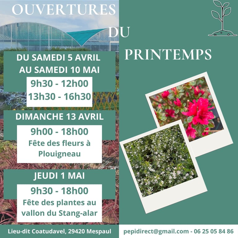 Programme avril 2025 pepidirect