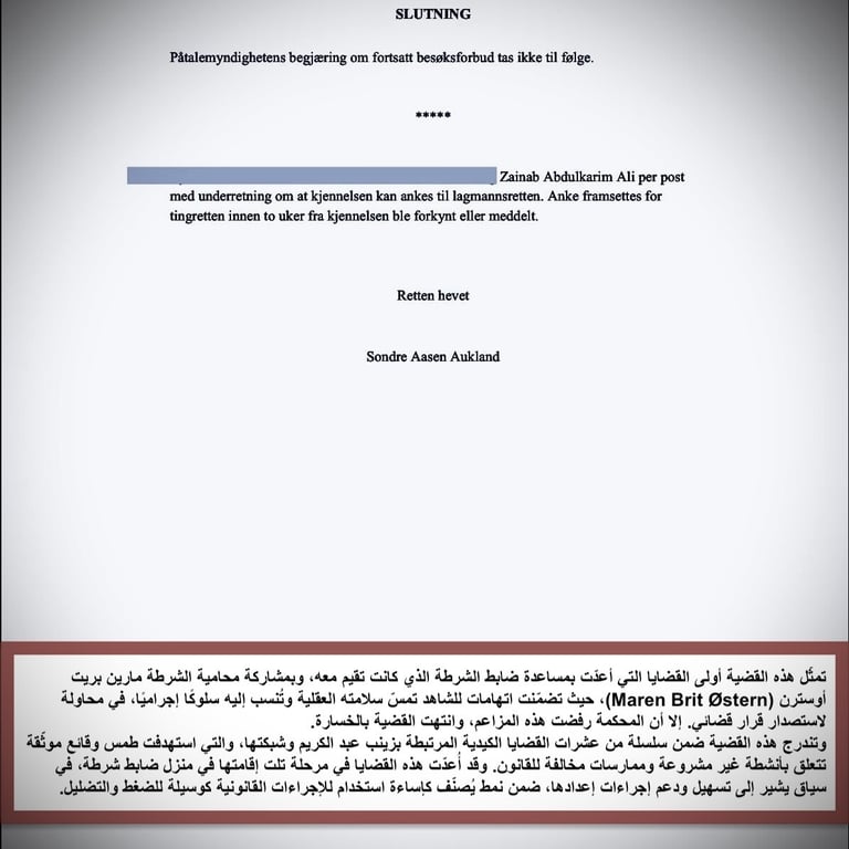 Zainab Abdulkarim Ali, زينب عبد الكريم، معرض الفن التشكيلي، العراق، النرويج ، اوسلو
