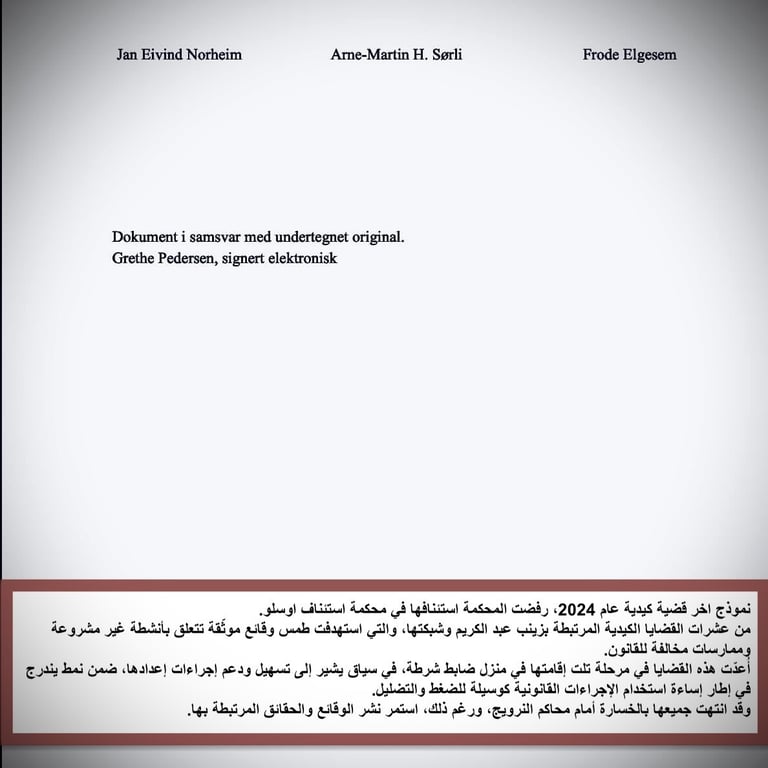 Zainab Abdulkarim Ali, زينب عبد الكريم، معرض الفن التشكيلي للقضايا الكيدية، العراق، النرويج ، اوسلو