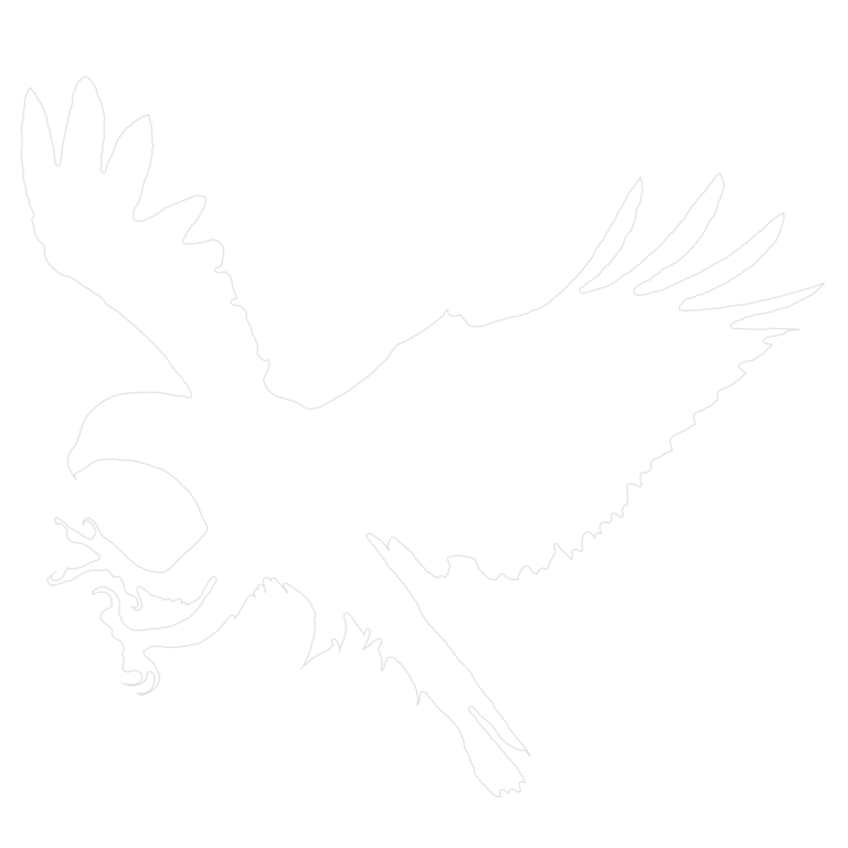 Highlands Ranch Real Estate falcon logo