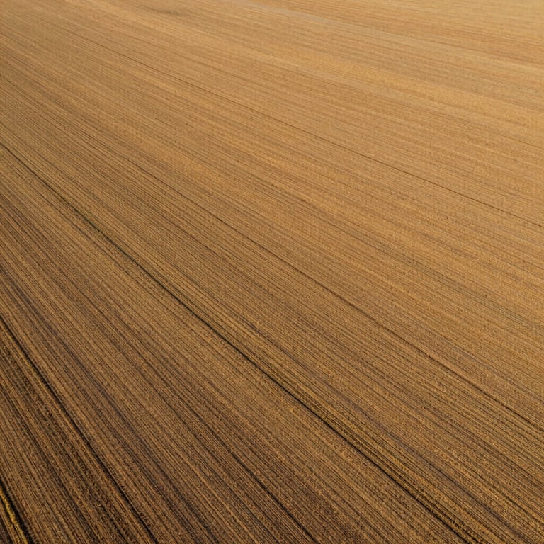 An overhead drone shot of golden farmland patterns in the North American / Southwestern US.