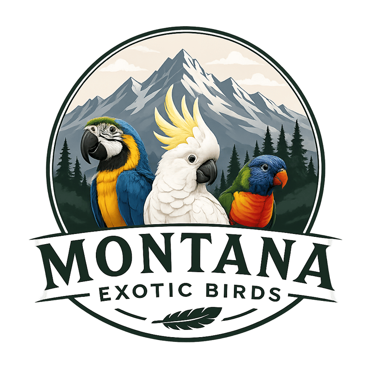 Montana Exotic Birds