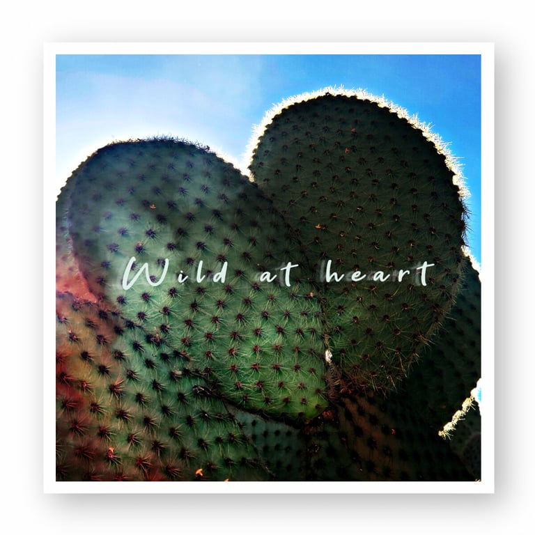 Heart-shaped prickly pear cactus paddles under a bright blue desert sky with Wild at Heart text overlay.