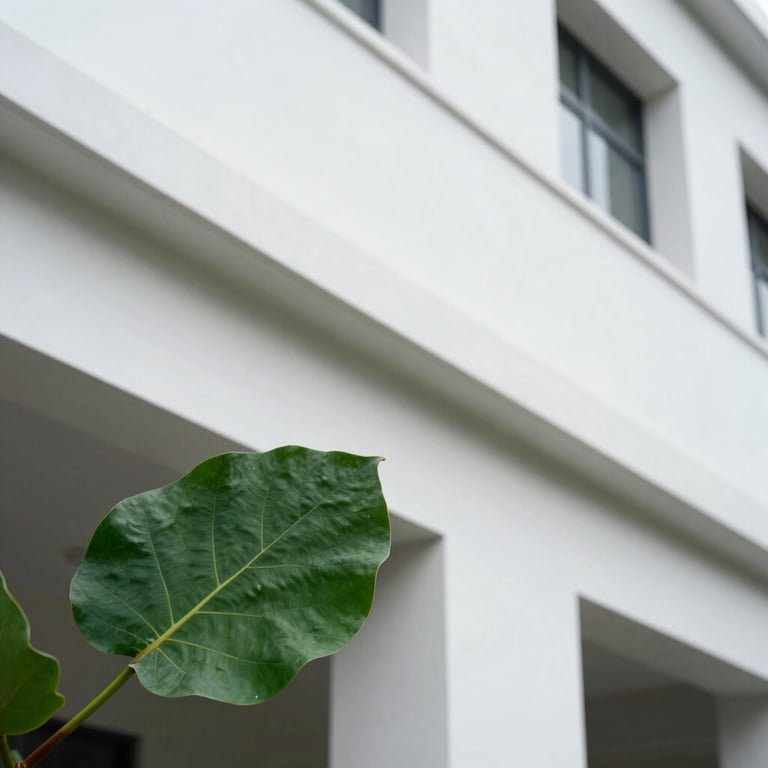 A clean, white architectural detail of a modern building with a single emerald green leaf in sharp focus in the foreground.