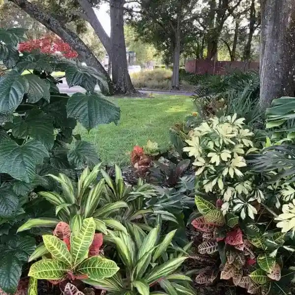 Residential landscape lawn care Sebastian FL