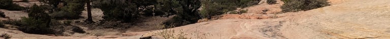 Zion 