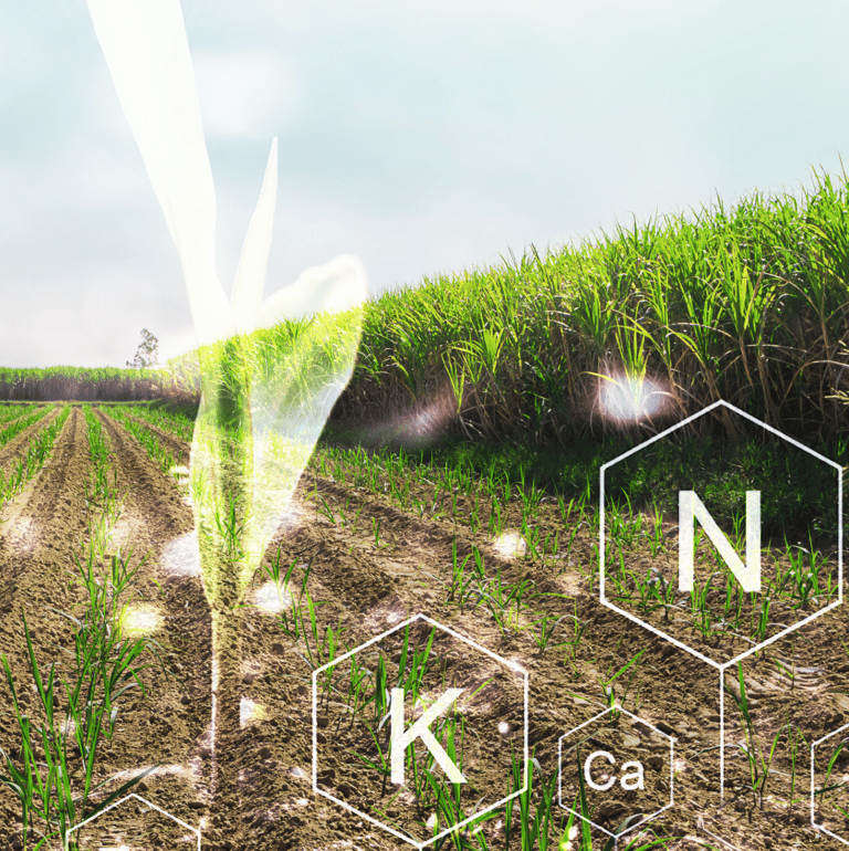 Irrigated field with chemical symbols and a clean water stream, visualizing water purification.