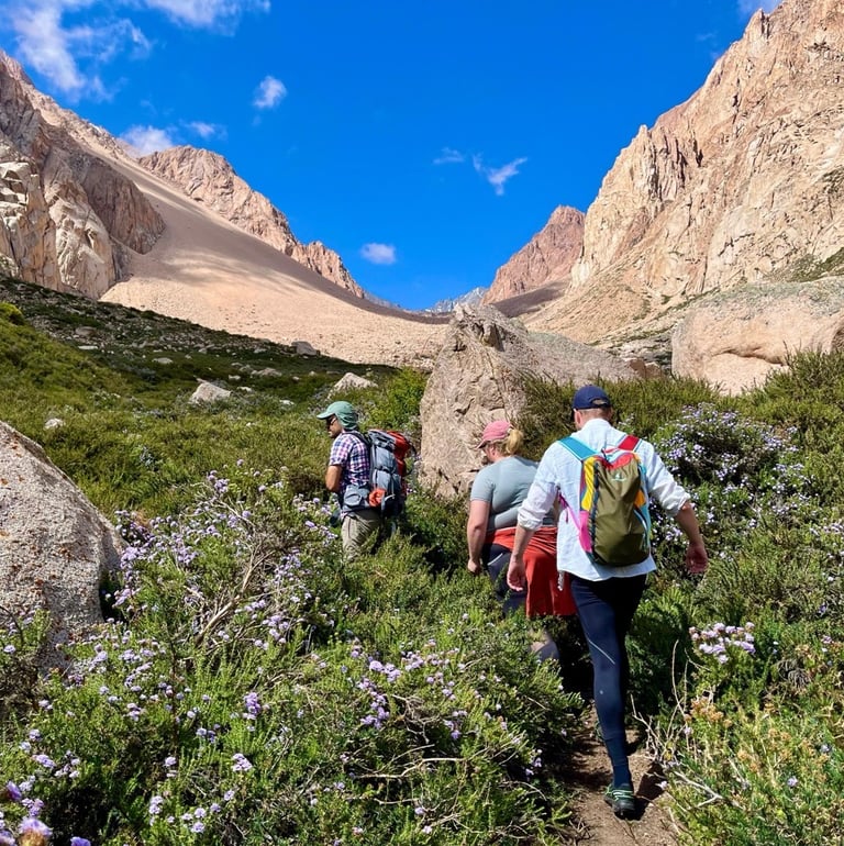 breathwork and hike in the andes near Mendoza