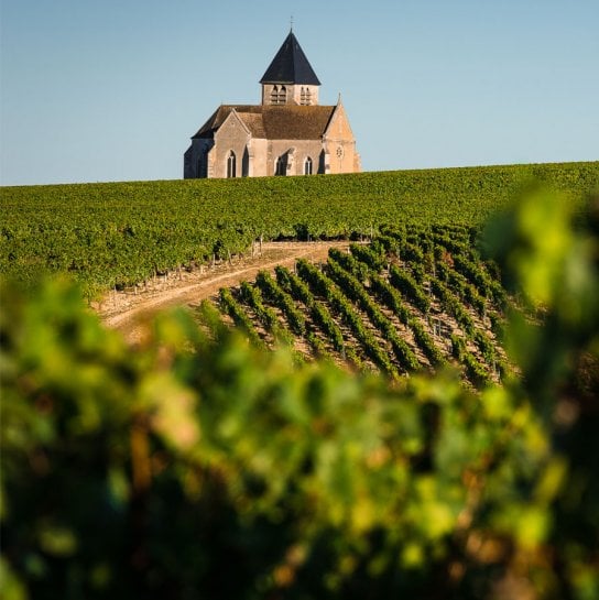 caviste en ligne vin premium Haute-Savoie et Annecy