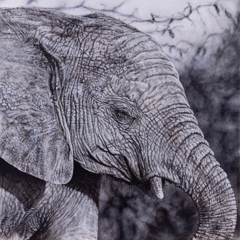 peinture animalière d'un éléphant en noir et blanc