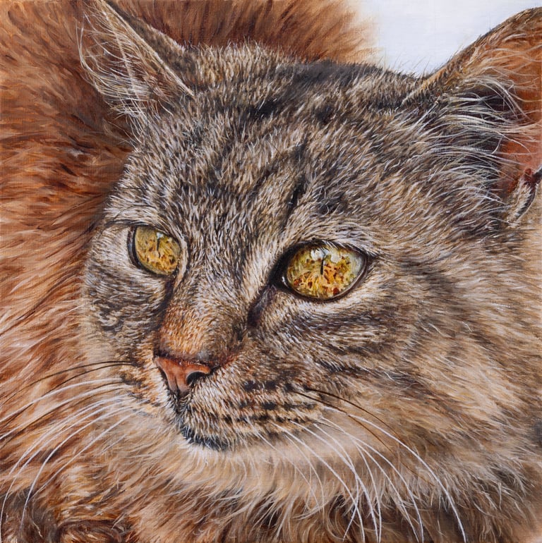 peinture animalière d'un chat