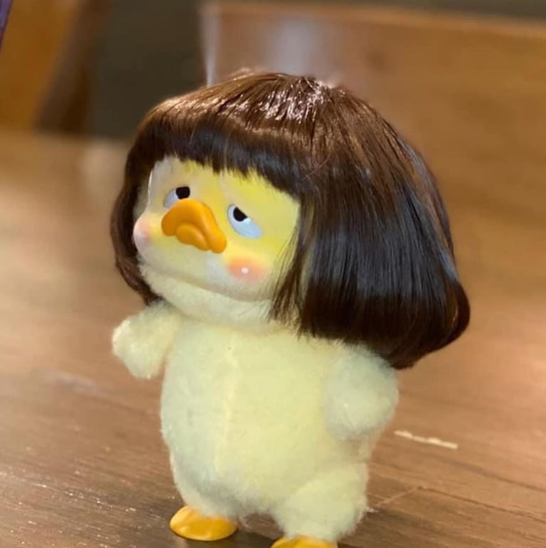 Small chicken with wig
