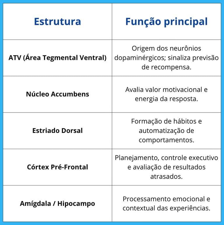 Estruturas do sistema de recompensa e suas funções no comportamento e motivação