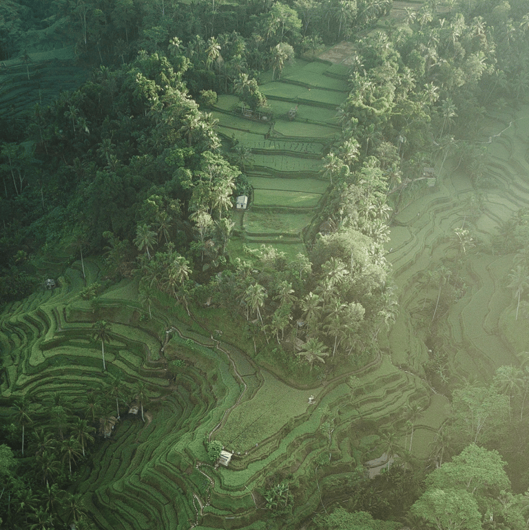 Wayanad