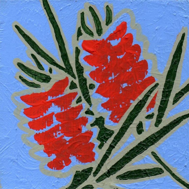 a painting of a red bottlebrush flower on a blue background