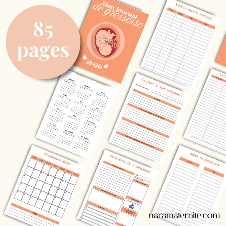 A collection of printable French pregnancy journal pages with a 2026 calendar and health trackers.