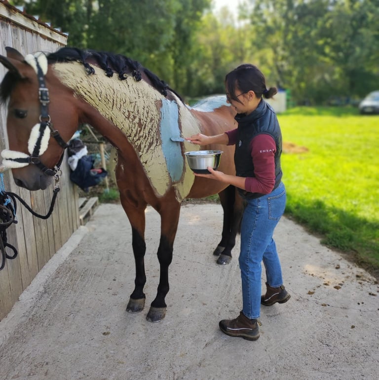 Enveloppement aux algues cheval