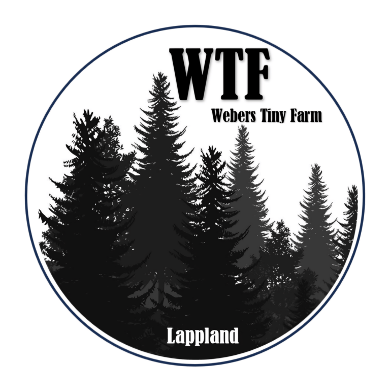 Logo WTF Camp