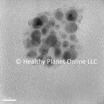 test image showing results of 50nm particle size in process that did not include agitating the water