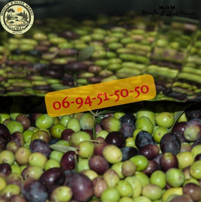 prix olive maroc