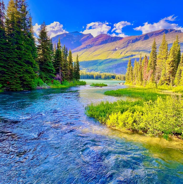 A scenic mountain landscape featuring a flowing river, pine trees, and peaks in Glacier National Park.