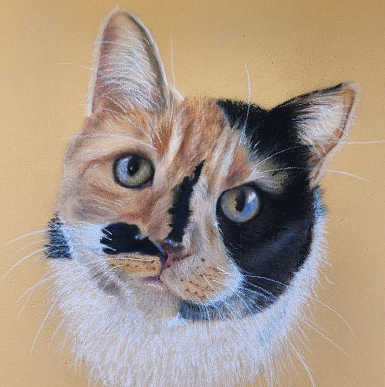 a cat with a mustache on it's face