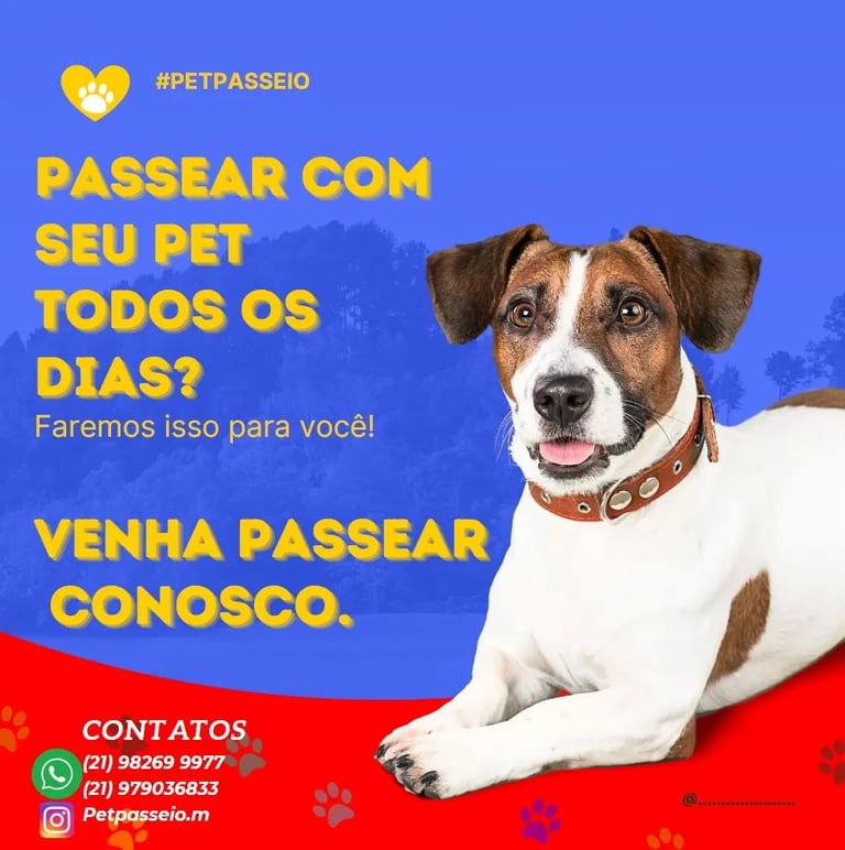 a dog sitting on a red carpet with a dog on the floor