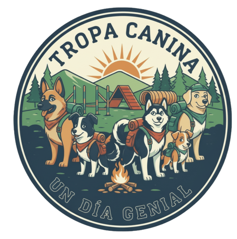 Guardería de día para perros