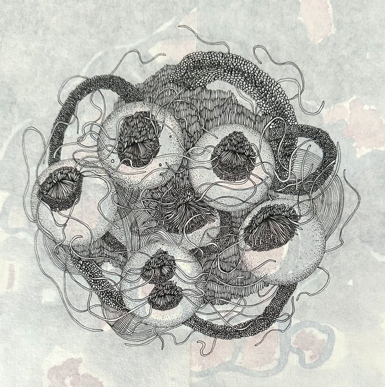 NEBULUM SEEDS I - Ink by Janet Griffen