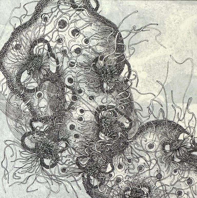 NEBULUM SEEDS II - Ink by Janet Griffen