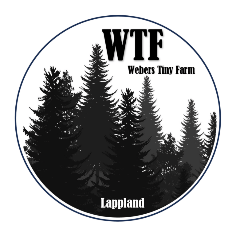 Logo WTF Camp