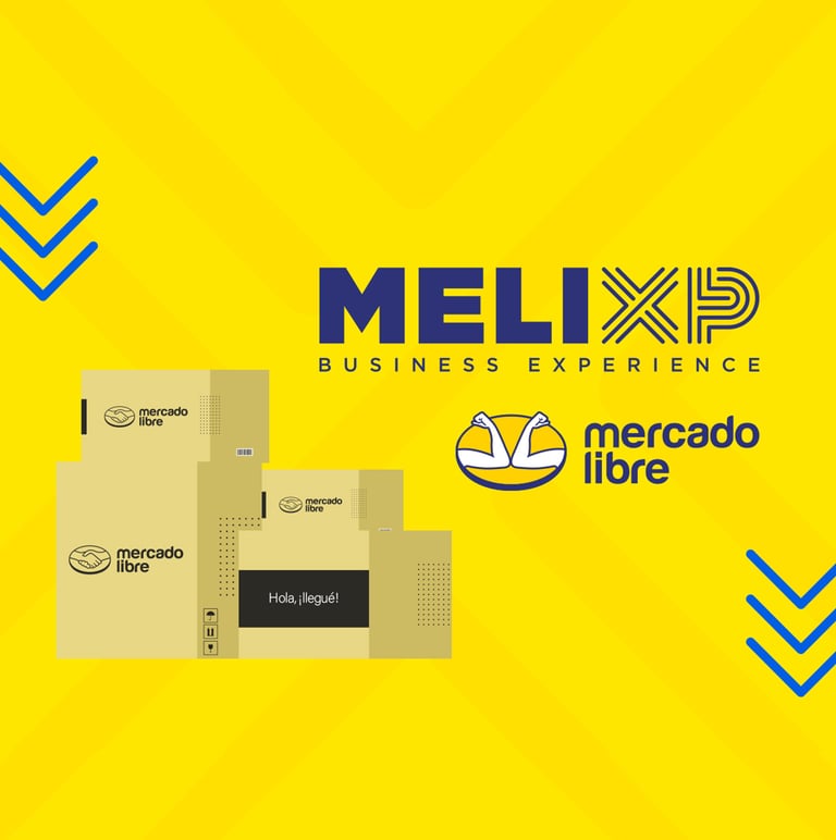 Motion design preview for PanPanPancake's MELIXP Business Experience animated explainer videos 