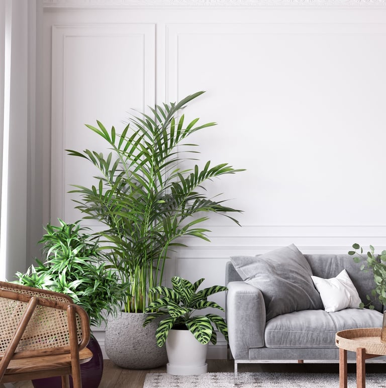 FENG SHUI