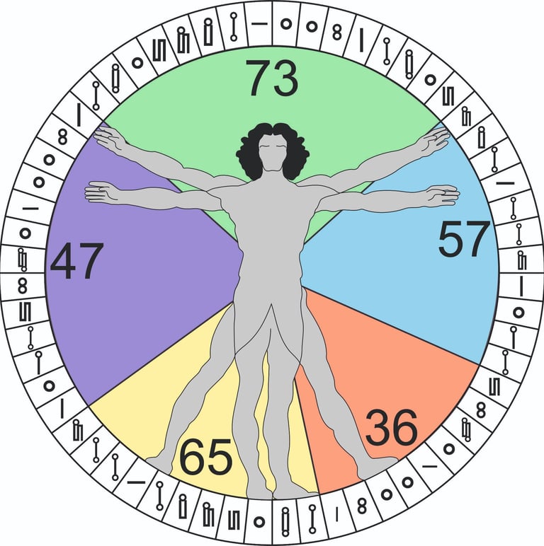 Hombre de Vitruvio sobre los elementos