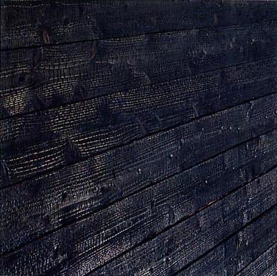 Shou Sugi Ban charred wood siding planks with a textured black carbonized finish.