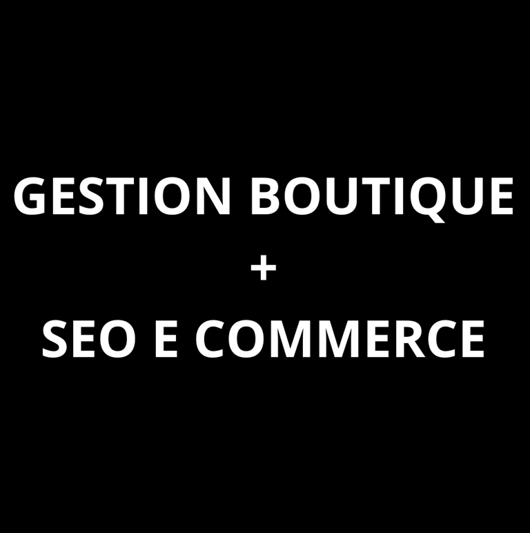 boutique ecommerce faire le seo