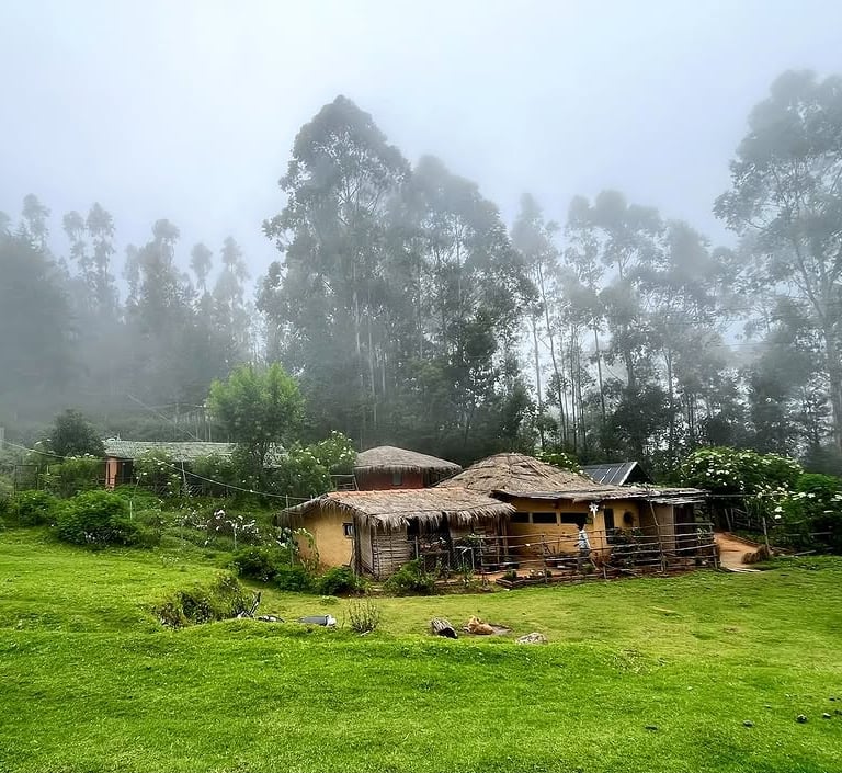 Blue Moon Huts Polur