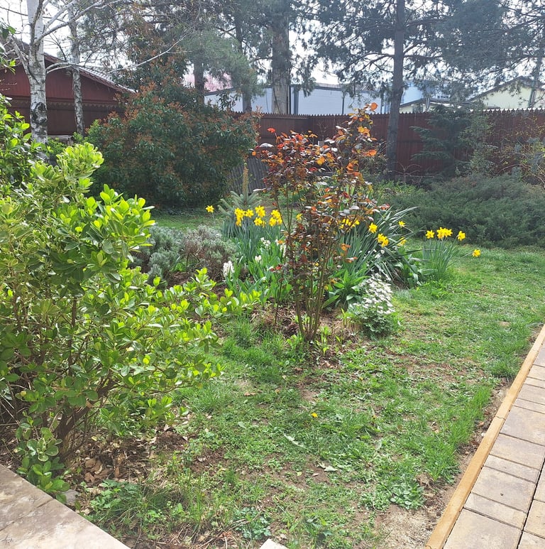a bunch of flowers, bushes and perennials as companions in our garden