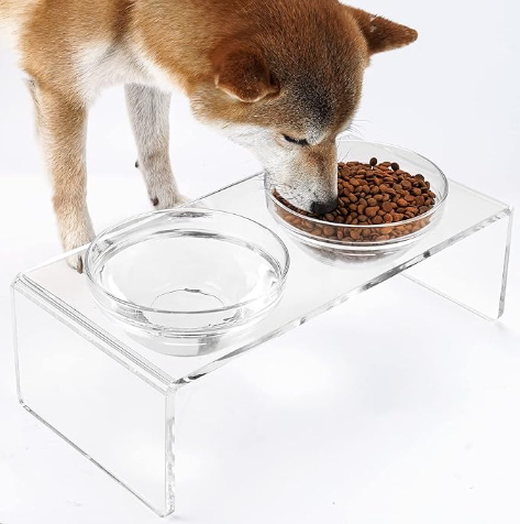 Elevated pet feeder with two glass bowls and two stainless steel bowls, non‑toxic and easy to clean