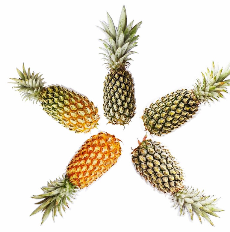 nanas dengan tingkat kematangan bervariasi, mulai dari 10% sampai dengan 100%