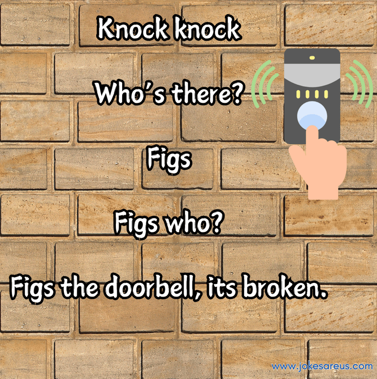 Knock knock  who’s there?  figs  figs who?  figs the doorbell, its broken.